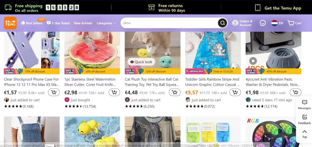 Temu Shop sur Ordinateur